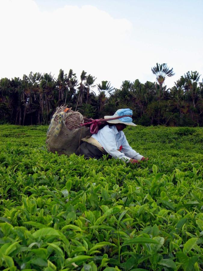 Maya-Abiki Mauritius อัลบิออน ภายนอก รูปภาพ